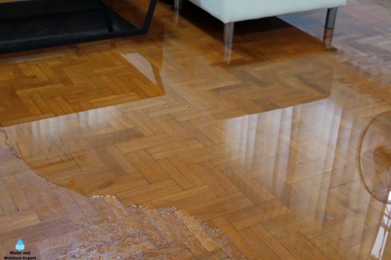 Floor Water Damage. Tips From Professionals