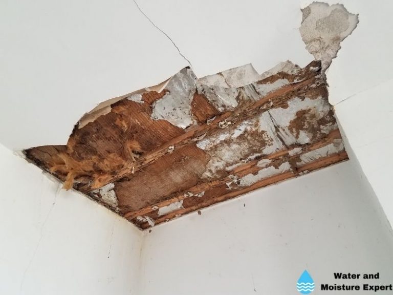 Do You Need To Replace Water Damaged Drywall? What Pros Say