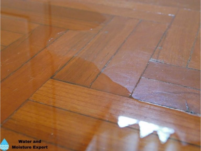 Hard Wood Floor Water Damage and Repair. What Pros Say