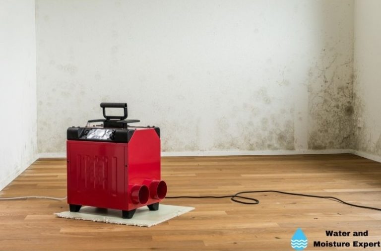 How to Dry Water Damage with a Dehumidifier. What Pros Say