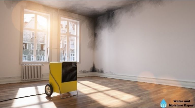 Dehumidifier For Water Damage. Tips From Professionals