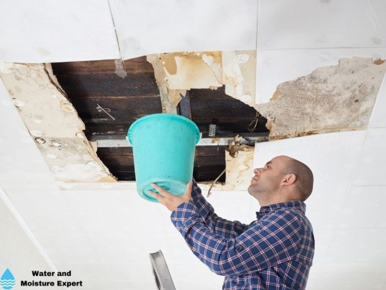 Find Your Roof Leak. Tips from professionals