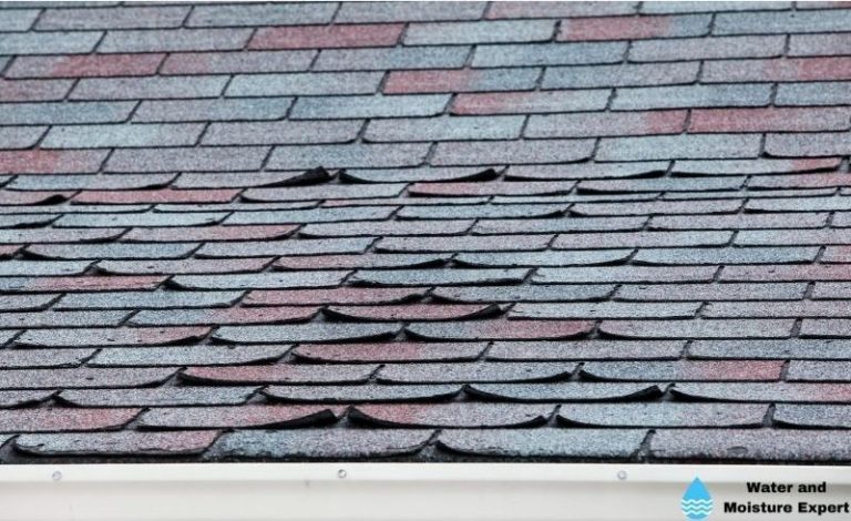 Water Damage And Roofing. Tips from professionals