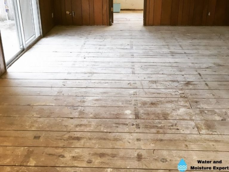 Water Damage Subfloor. Tips from professionals