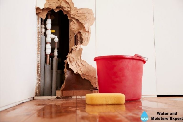 How to Spot Water Damage. Tips from Professionals