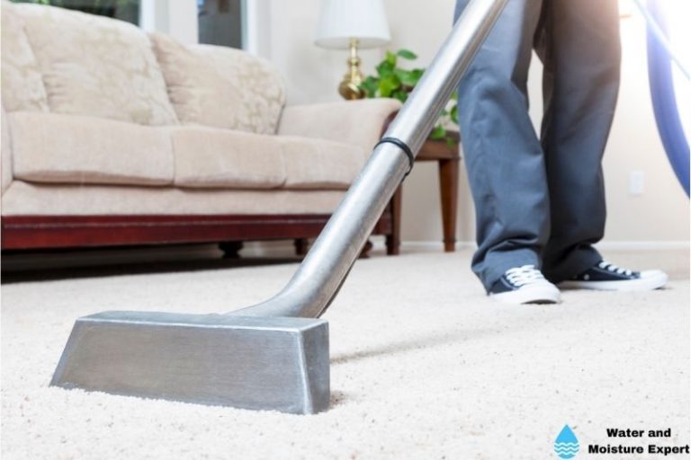 How to remove water from your carpet. What pros say