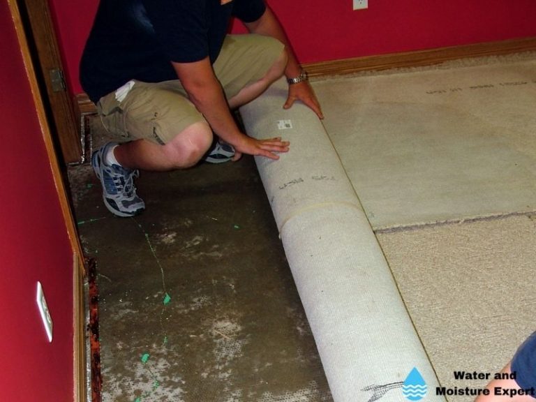 Water Damage On Your Carpet. Tips From Professionals