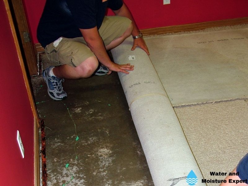 Water Damage On Your Carpet Tips From Professionals And Moisture Expert