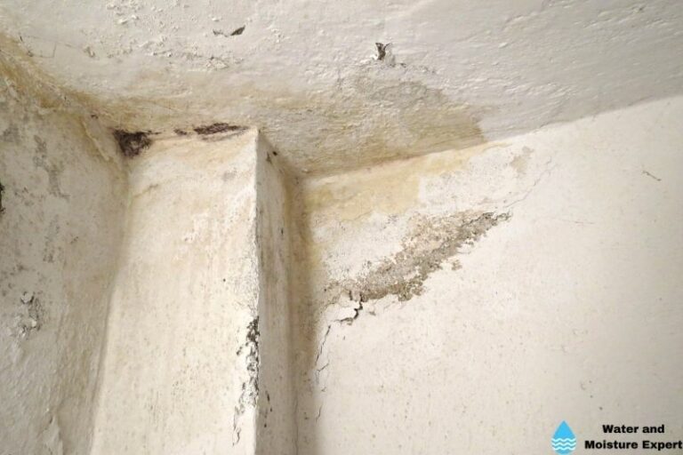 Remove Mold From Your Basement. Tips From Professionals