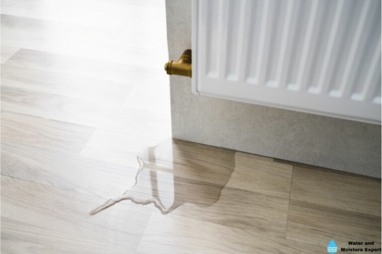 Water Damaged Laminate Floor. Tips From Professionals