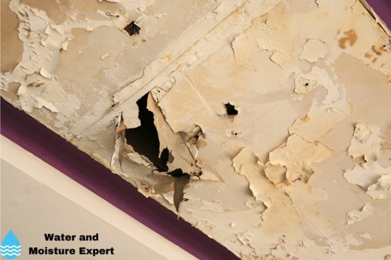 How To Repair Water Damaged Drywall. What Pros Say