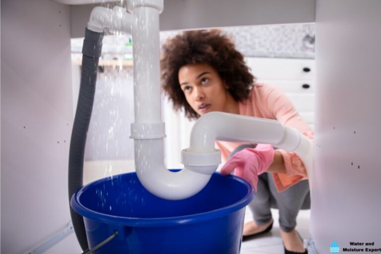 Water Damage Under Your Sink. Tips From Professionals